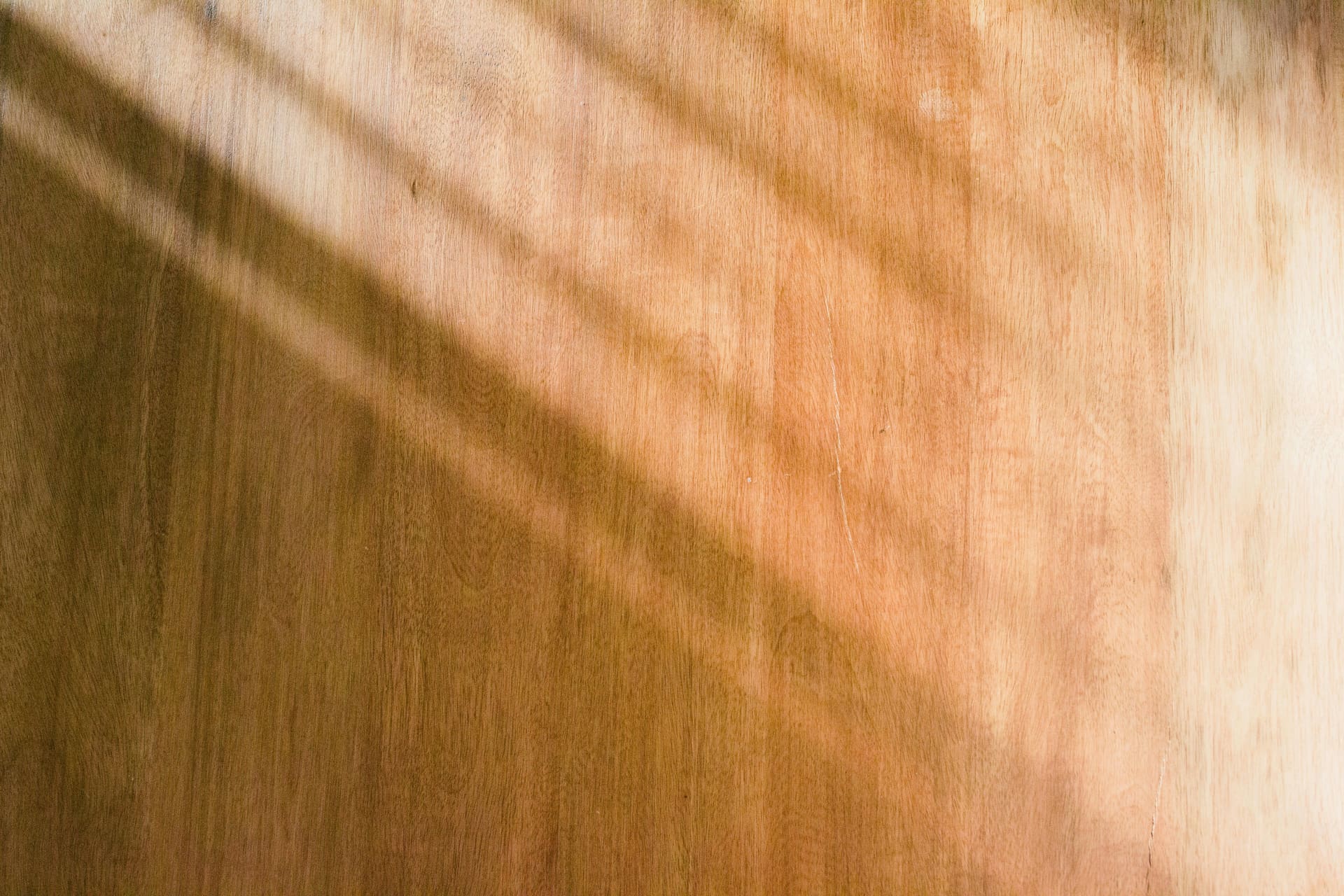 Carpenter